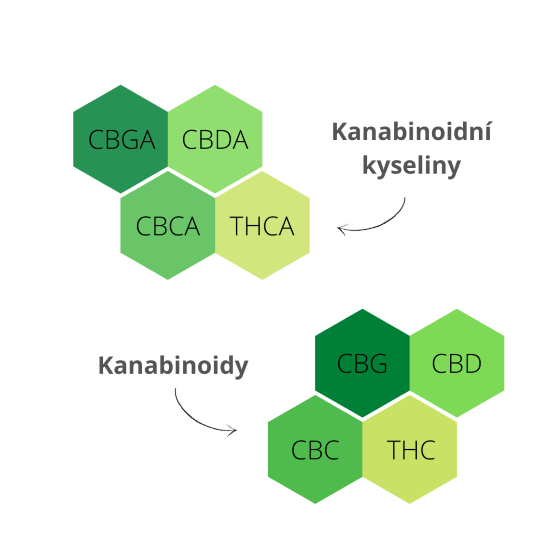 Před dekarboxylací (zahřátím) jsou kanabinoidy pouze kanabinoidními kyselinami